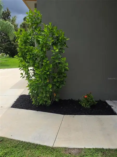 Exterior details and patio area of a home in , North Port (Image 4).
