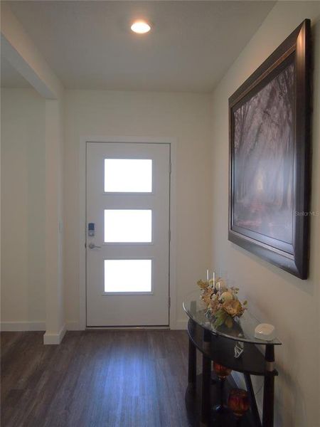 Entry Foyer with frosted front door