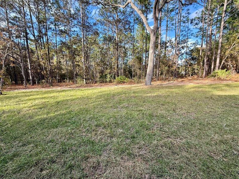 Exterior details and patio area of a home in , Citrus Springs (Image 32).