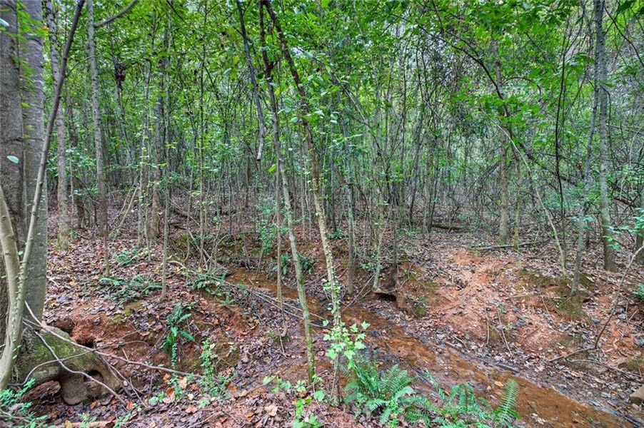 Natural landscape and outdoor views near  in Nicholson (Image 63).