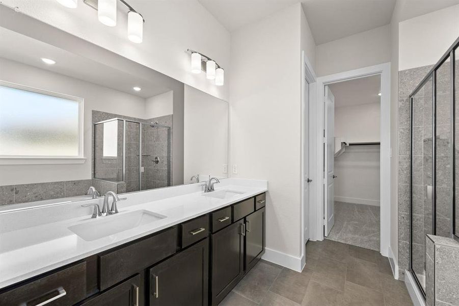 Discovery Collection at Painted Tree