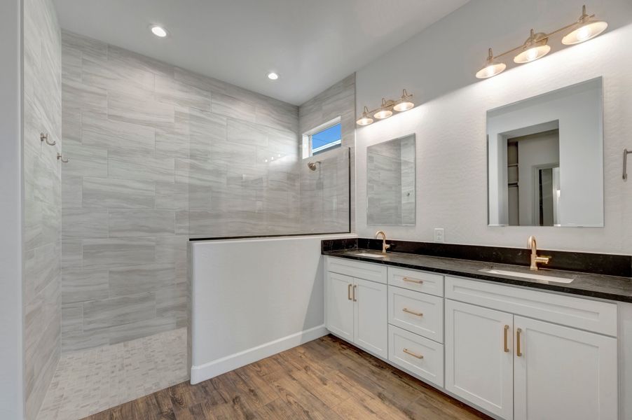 Owner's Bath