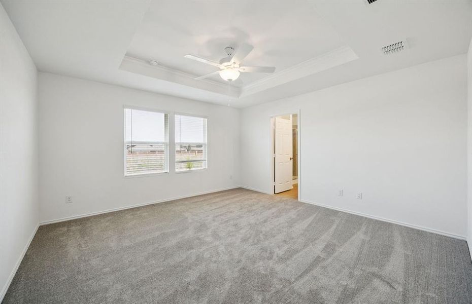 Elegant owner's suite with tray ceiling