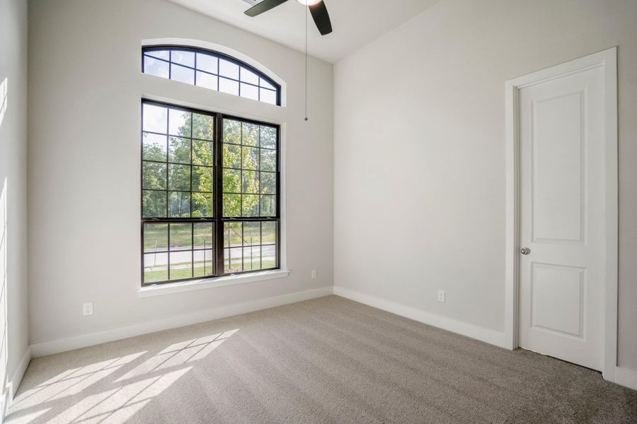 representative photo