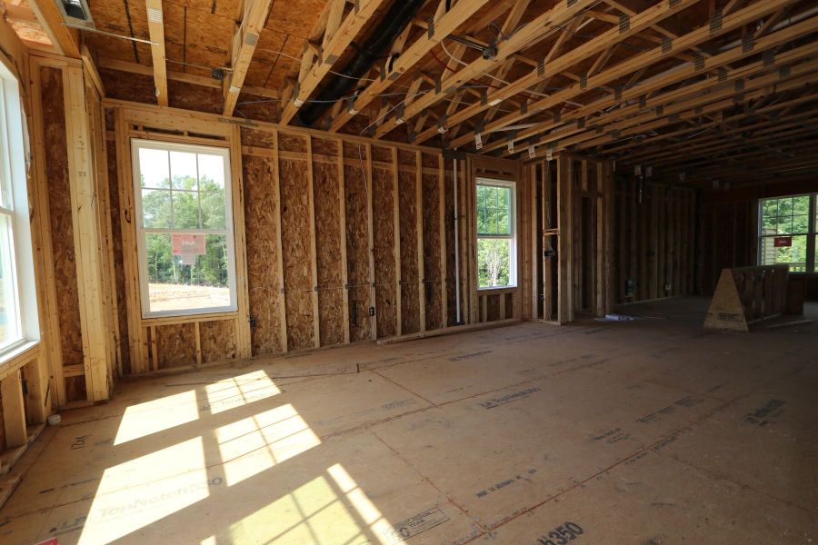 Framing Framing