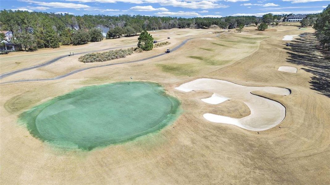 Site preparation for new homesites in Southern Hills Plantation, Brooksville (Image 35).
