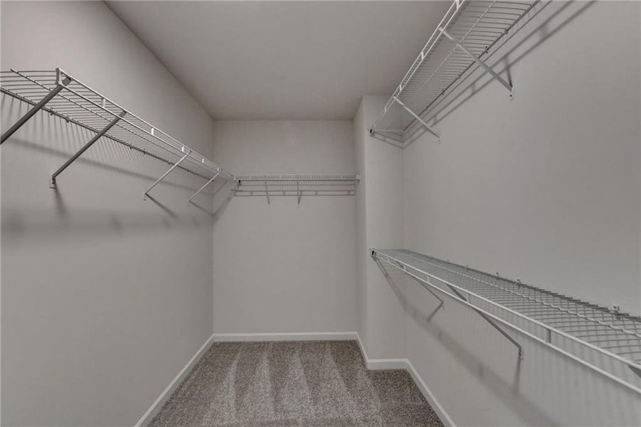 Spacious, unfurnished interior of a new home in , Auburn (Image 63).