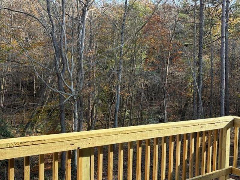 Natural landscape and outdoor views near Eagle Heights in Maysville (Image 5).