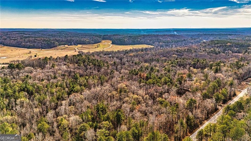 Natural landscape and outdoor views near  in Douglasville (Image 18).
