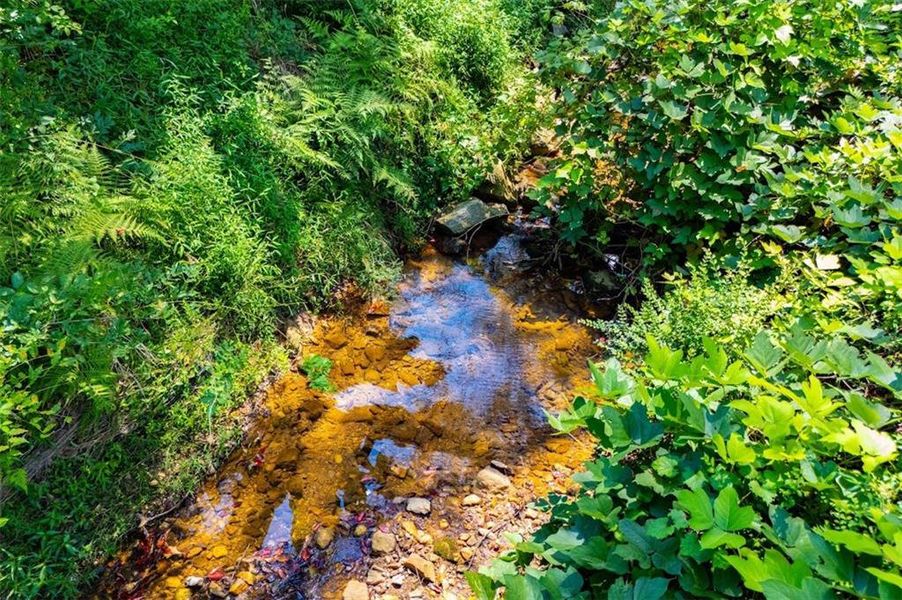 Natural landscape and outdoor views near  in Bowdon (Image 29).