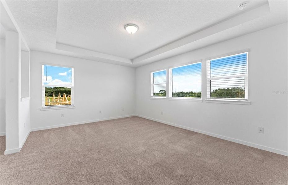 Spacious, unfurnished interior of a new home in Riverwood, Zephyrhills (Image 17).