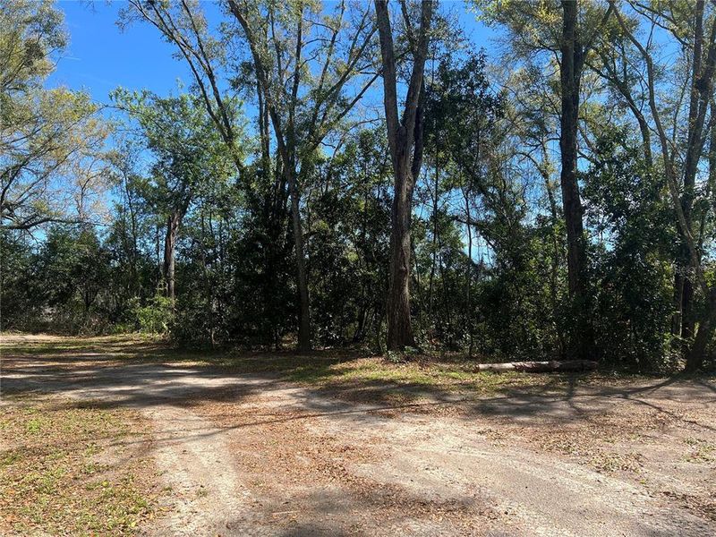 Natural landscape and outdoor views near  in Branford (Image 29).