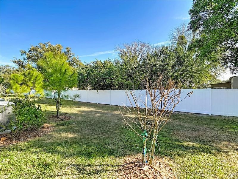Natural landscape and outdoor views near  in Land O' Lakes (Image 37).