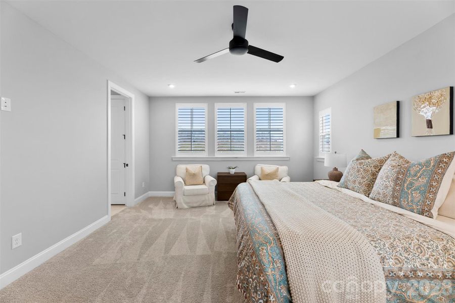 Furnished interior view inside a new home in , Belmont (Image 17).