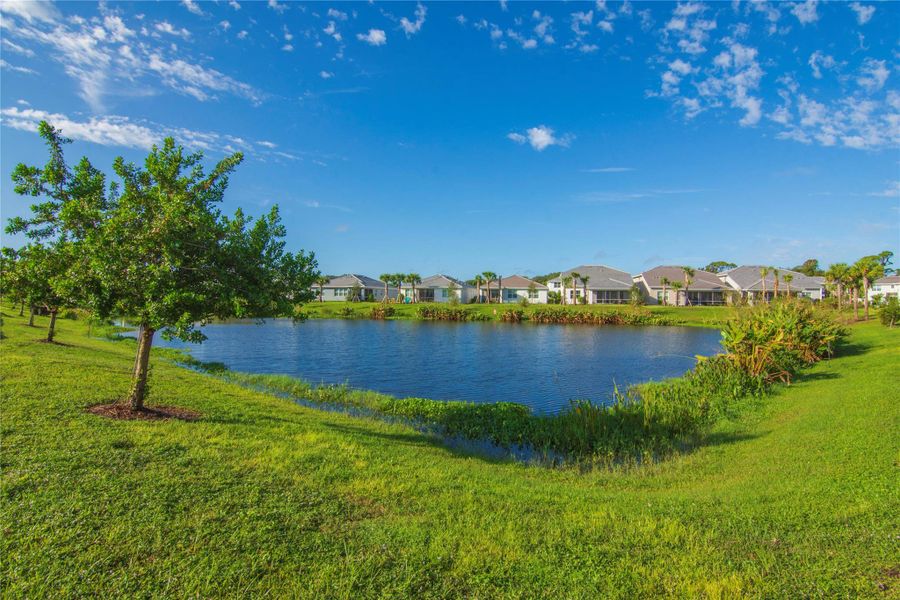 Natural landscape and outdoor views near in Vero Beach (Image 36). Natural landscape and outdoor views near in Vero Beach (Image 36).