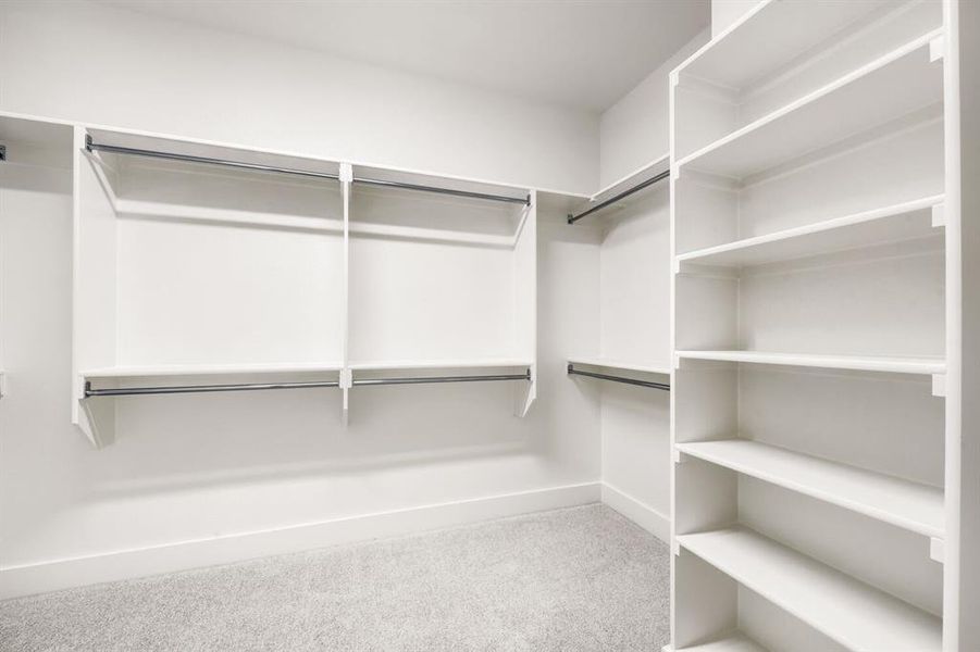 Walk-in closet featuring white built-in shelving, multiple hanging rods, and light gray carpet