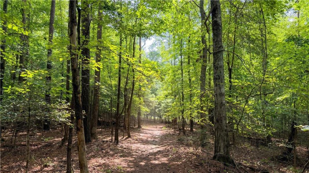 Natural landscape and outdoor views near Lakecrest in Buford (Image 33).