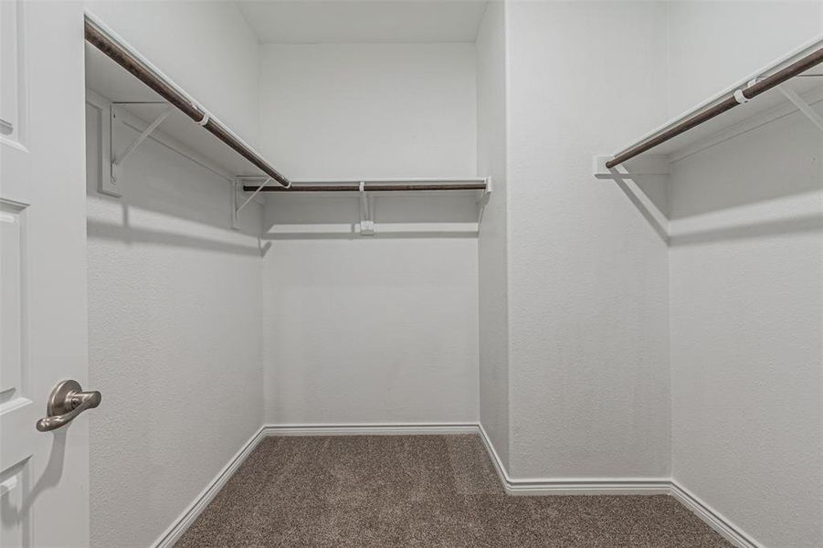 Walk in closet with carpet