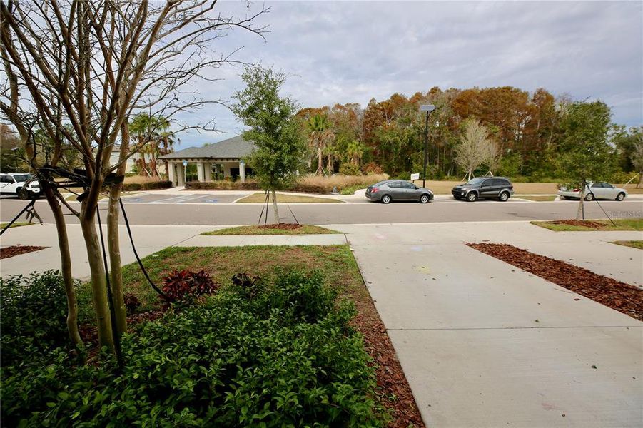 Community amenities in , Land O' Lakes (Image 38).