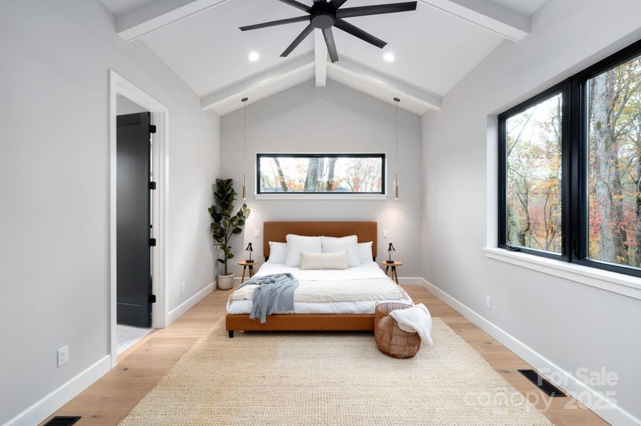 Beautiful Natural Light Beautiful Natural Light