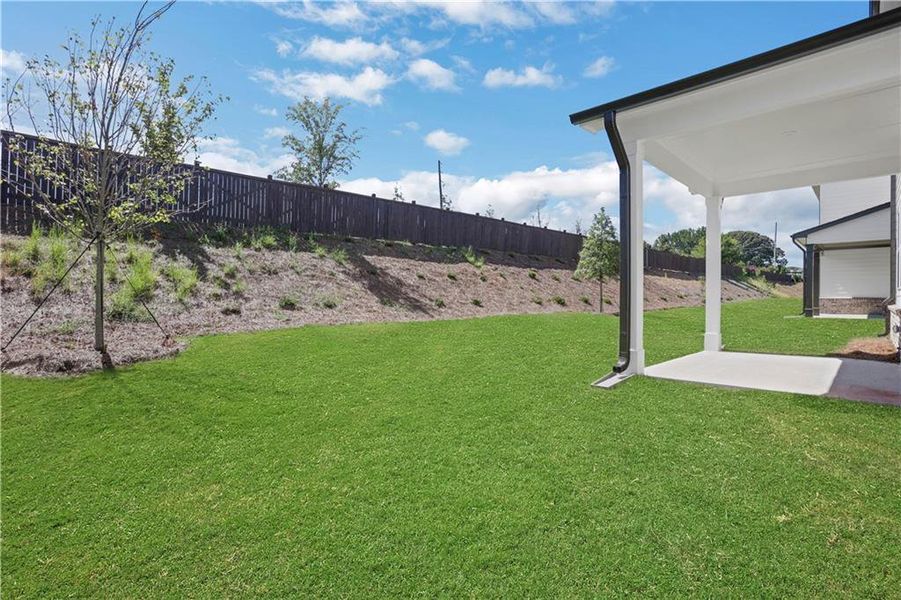 Exterior details and patio area of a home in The Paddocks at Doc Hughes, Buford (Image 4).