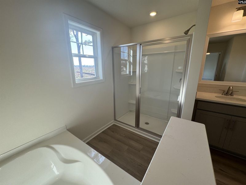 Image 20 of a home in Boykin Hills.