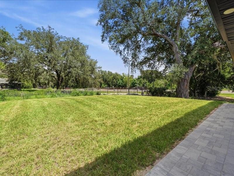 Natural landscape and outdoor views near  in Winter Haven (Image 57).