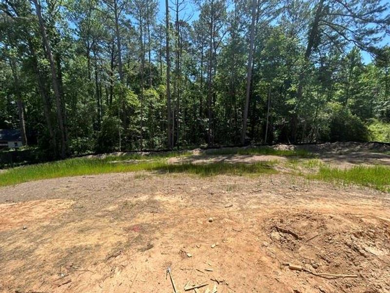 Site preparation for new homesites in , Conyers (Image 10).