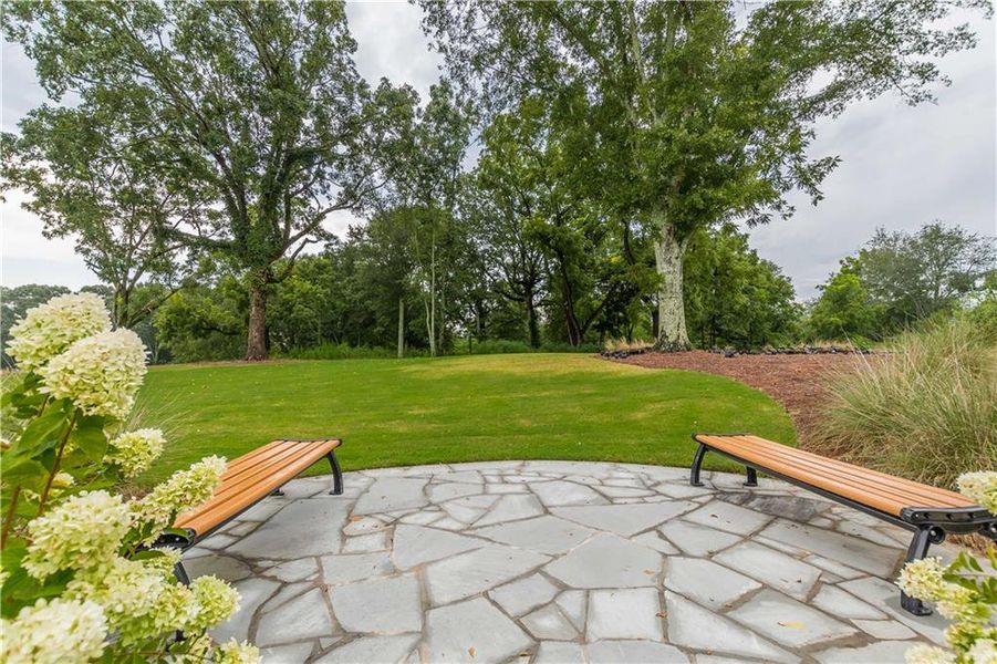 Natural landscape and outdoor views near  in Conyers (Image 17).