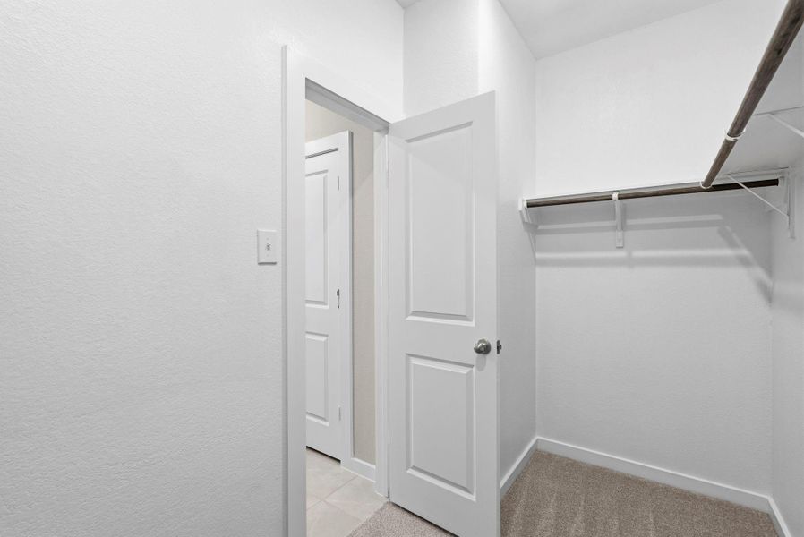 Spacious, unfurnished interior of a new home in Windrose Green, Angleton (Image 25).