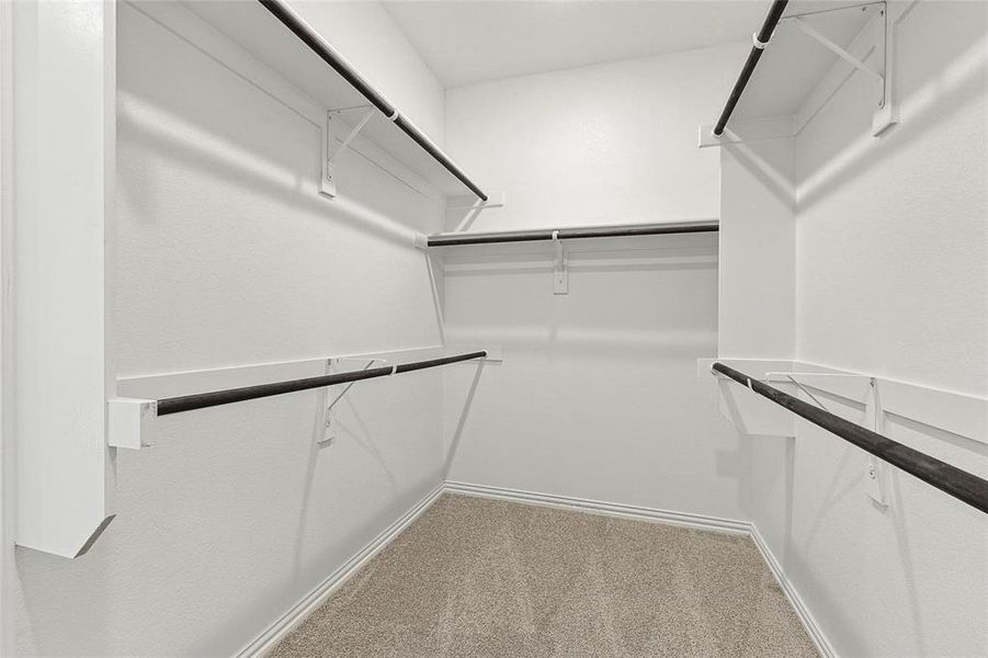 Walk in closet with carpet flooring