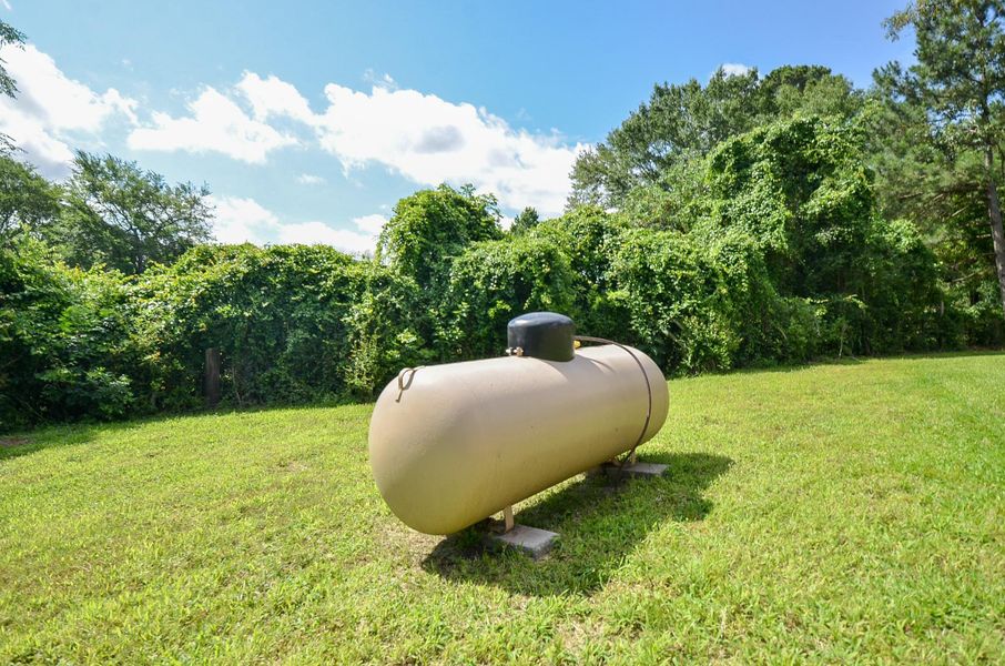 Natural landscape and outdoor views near  in Plantersville (Image 44).