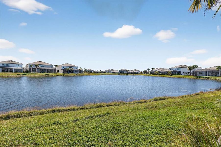 Natural landscape and outdoor views near  in Lakewood Ranch (Image 69).