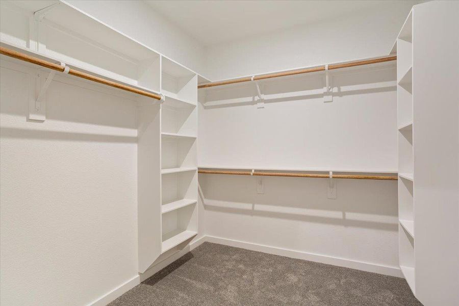Spacious closet with dark carpet
