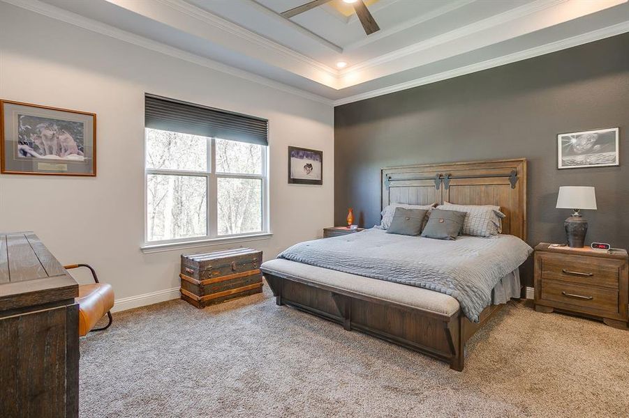 Furnished interior view inside a new home in , Nemo (Image 17).