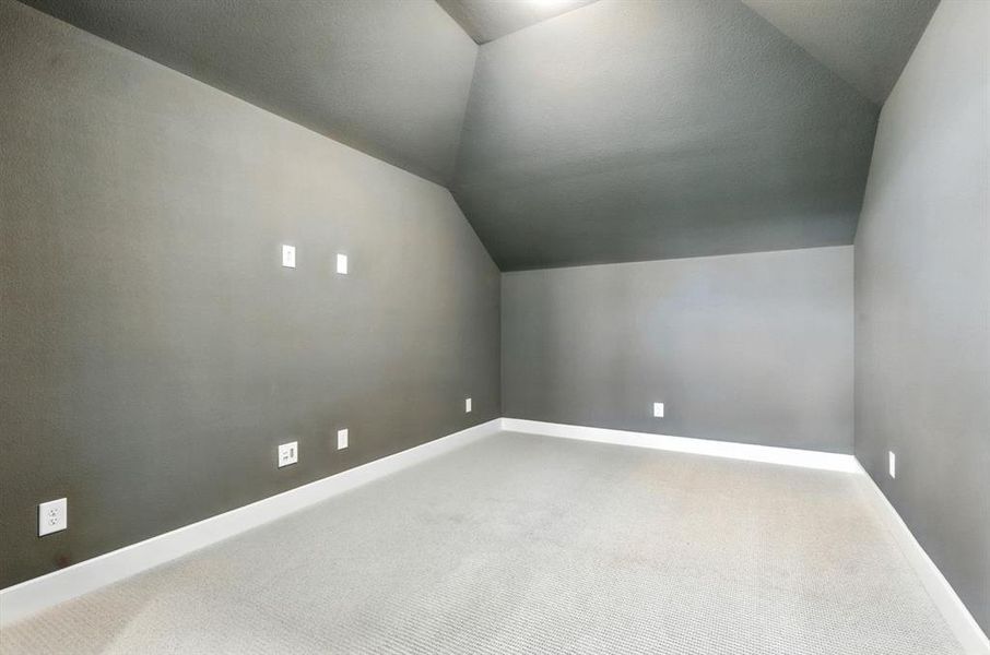 Entertainment Room Entertainment Room