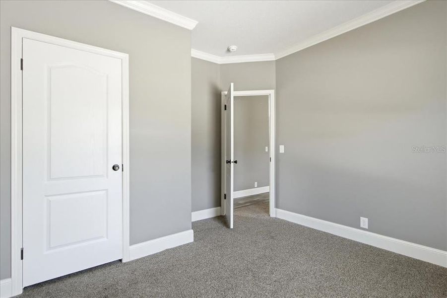Spacious, unfurnished interior of a new home in , Bushnell (Image 30).