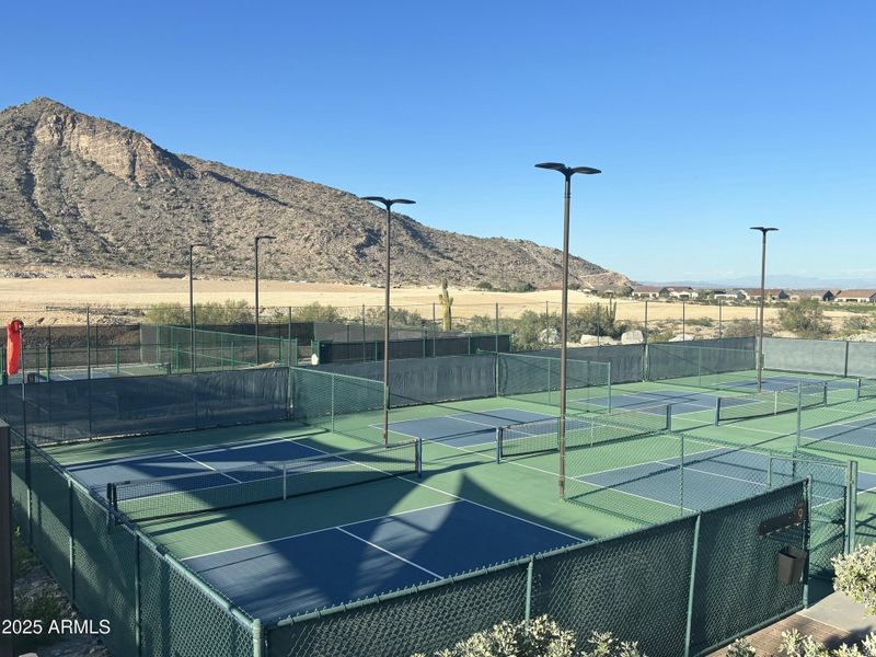 Pickleball Pickleball