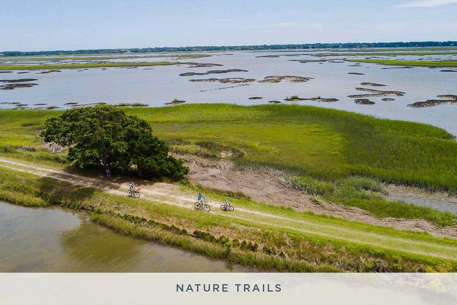 Natural landscape and outdoor views near  in Johns Island (Image 6).