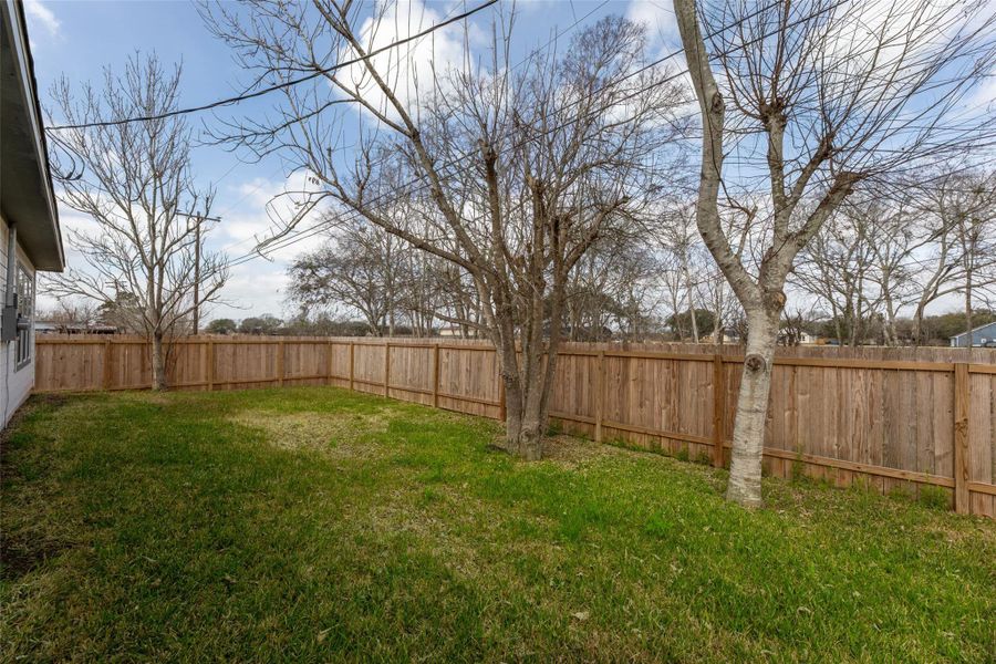 Fenced backyard with a grassy lawn and a few mature trees, providing a private outdoor space.