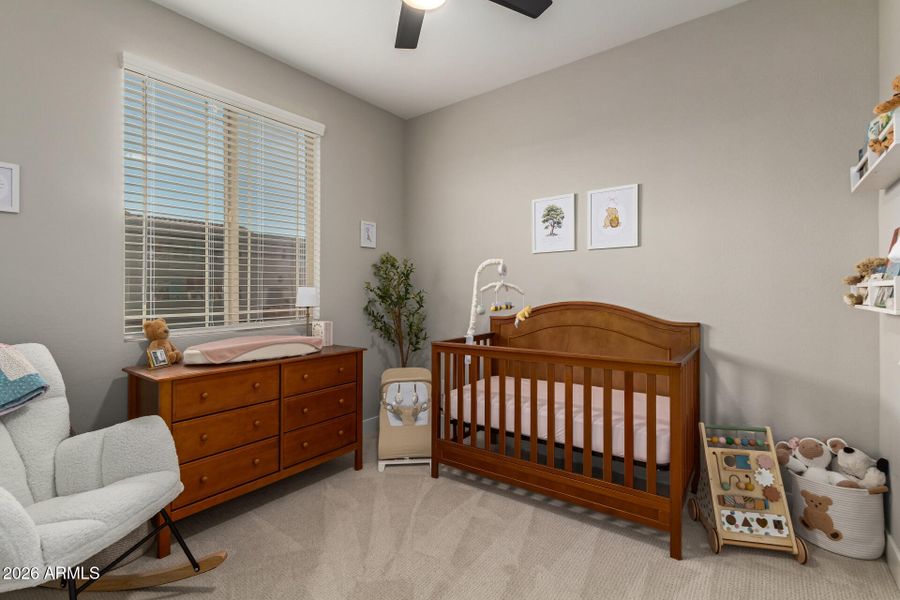 23-Wollemi 23-Wollemi