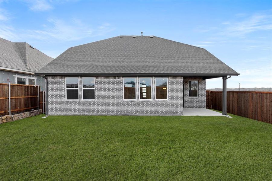 26. 3116 Goldfinch - Back 26. 3116 Goldfinch - Back