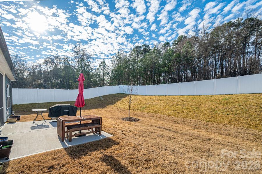 Fenced in Yard Fenced in Yard