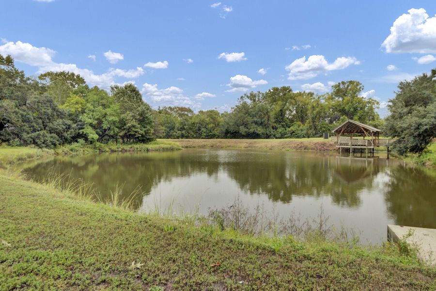 Natural landscape and outdoor views near  in Charleston (Image 23).