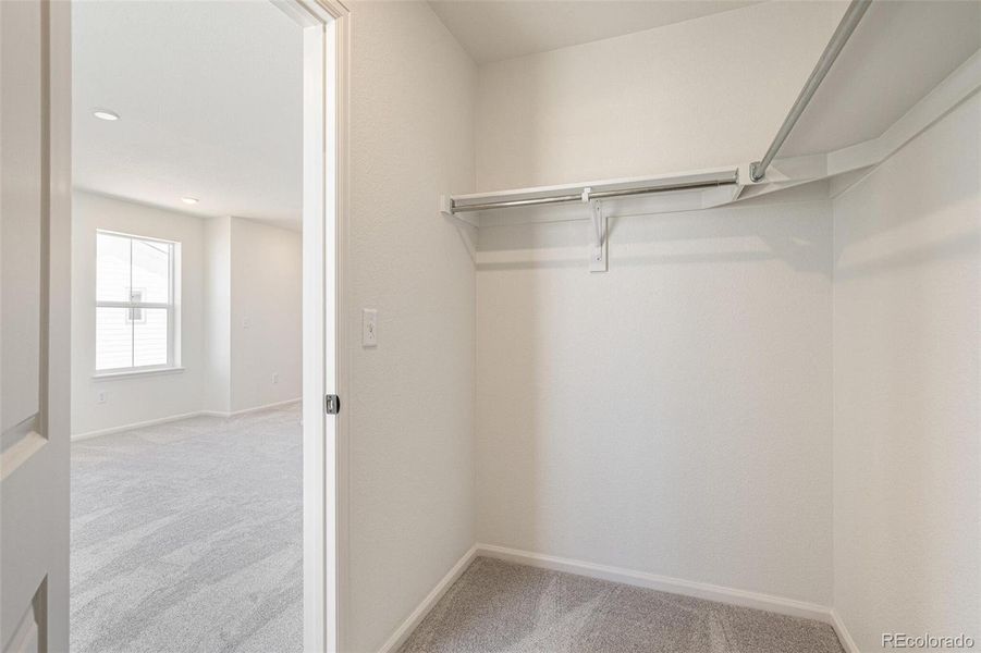 Spacious, unfurnished interior of a new home in Farmlore, Brighton (Image 26).