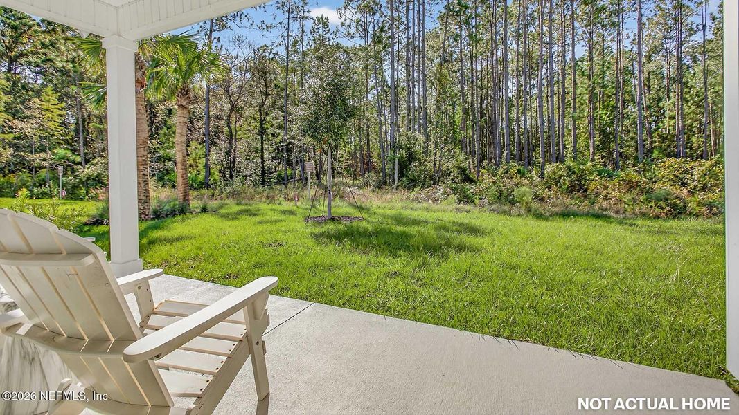 Exterior details and patio area of a home in Rookery, Green Cove Springs (Image 20).