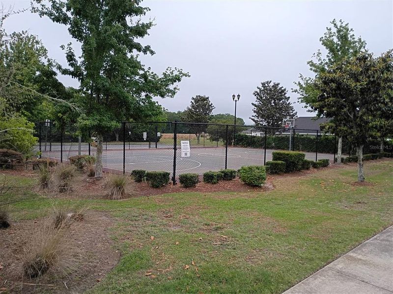 Natural landscape and outdoor views near  in Lake City (Image 75).