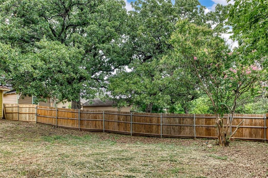 View of fenced backyard