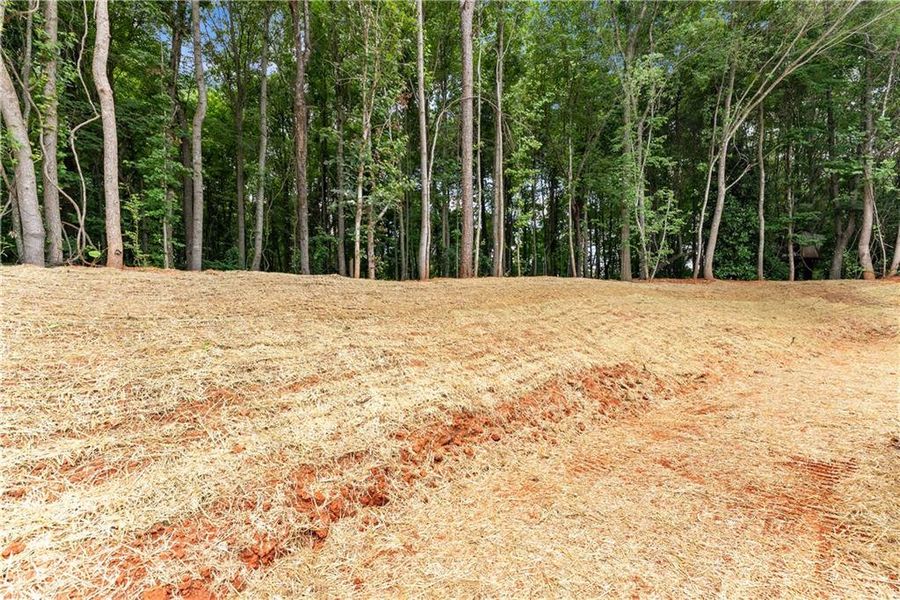 Site preparation for new homesites in , Lula (Image 36).
