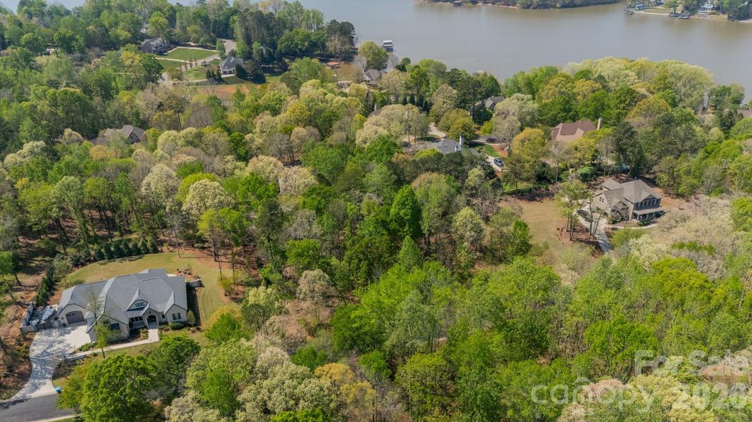 Natural landscape and outdoor views near  in Belmont (Image 8).
